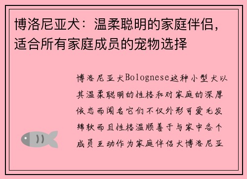 博洛尼亚犬：温柔聪明的家庭伴侣，适合所有家庭成员的宠物选择