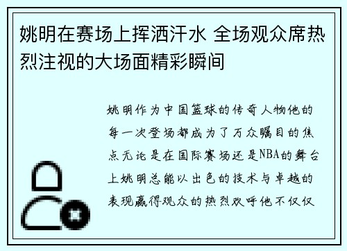 姚明在赛场上挥洒汗水 全场观众席热烈注视的大场面精彩瞬间
