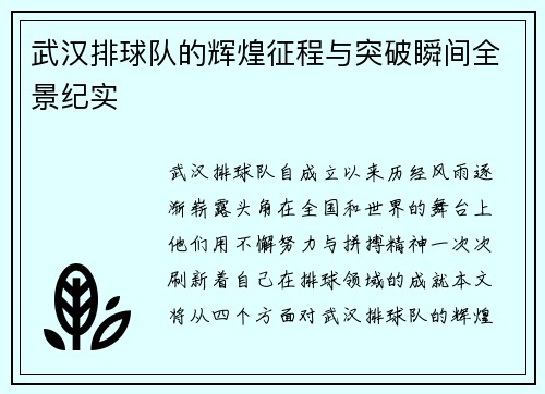 武汉排球队的辉煌征程与突破瞬间全景纪实